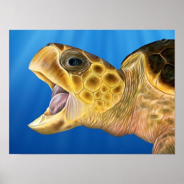 Poster Boca Aberta Estilizada Loggerhead (Frente)