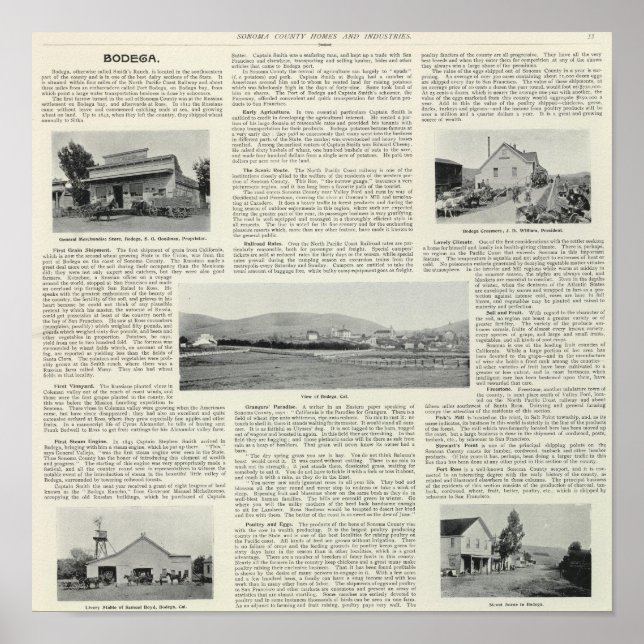 Póster Bodega, Califórnia (Frente)