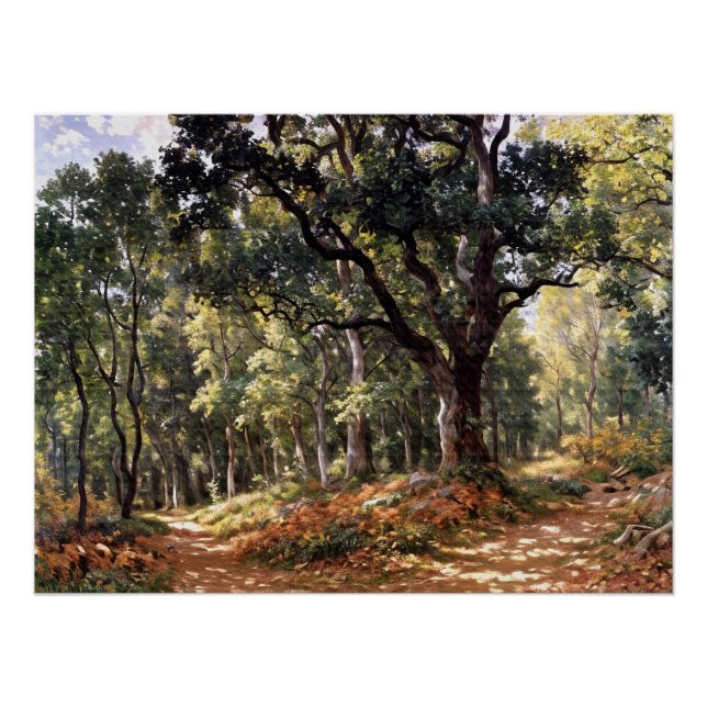 Póster Bodmer Oak (Frente)