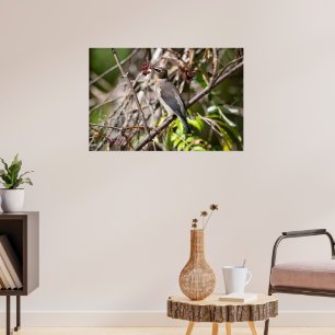 Poster Bohemian Waxwing, Avião Canadense