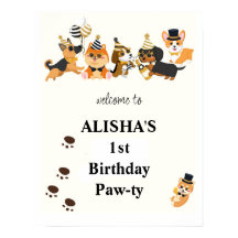 Boinas Pet Dogs Aniversário Bem-vindo