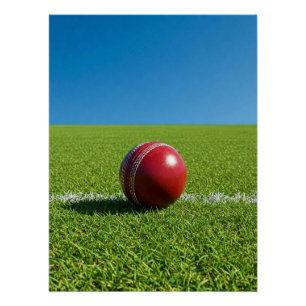 Póster Bola de Críquete na Marca de Contorno