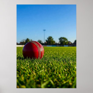 Poster Bola de Críquete na Marca de Contorno