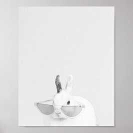 Poster Bola de neve no coelho