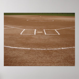 Póster Bola de Reprodução do vamos