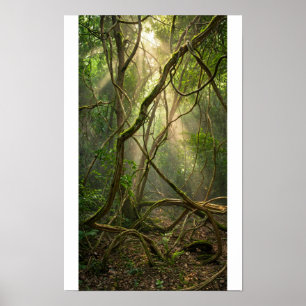 Poster Bolas de Golfe Floresta Mística Namal Uyana - Iron