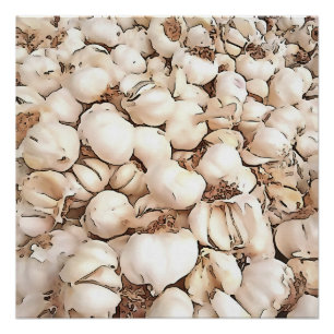 Póster Bolbos De Arte acrílica De Alho