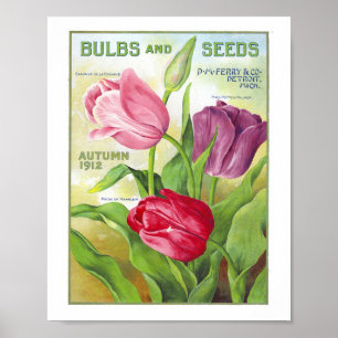 Poster Bolbos e Sementes 1912