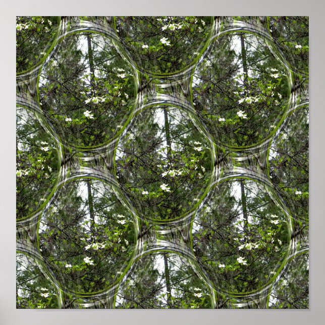 Poster Bolhas de Dogwood.... (Frente)