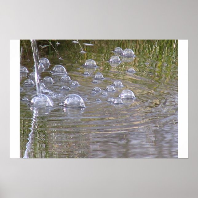 Poster bolhas de lago (Frente)