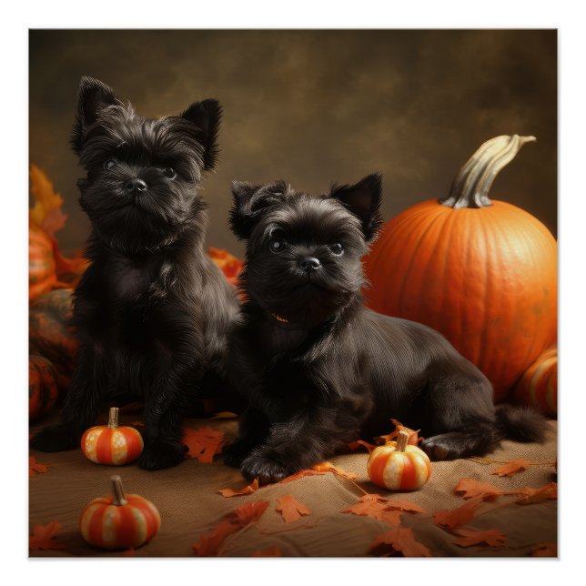 Póster Boliche Francês Puppy Autumn Delight Pumpkin (Frente)