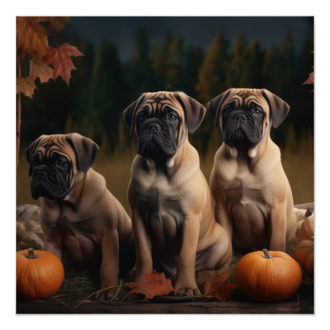 Póster Bolmastiff Puppy Autumn Delight Pumpkin (Frente)