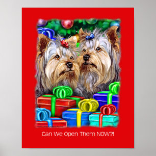 Poster Bolsas de Natal de Yorkshire Terrier