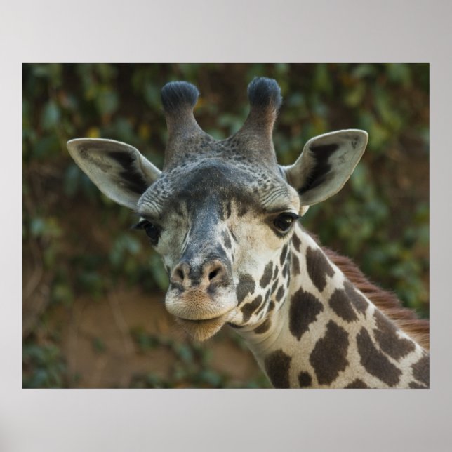 Poster Bom dia, amigo (Frente)