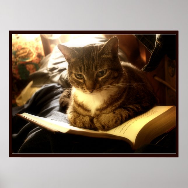 Póster Bom Livro (Frente)