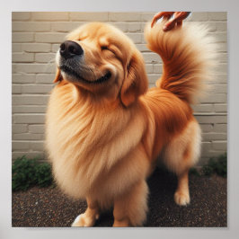 Poster Bom rapaz - recuperador de ouros