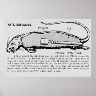 Póster Bomba do rato, catálogo descritivo de dispositivo