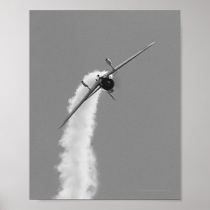Póster Bombardeiro de mergulho japonês de Aichi D3A do