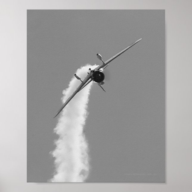 Póster Bombardeiro Marinho japonês Aichi D3A Dive (Frente)