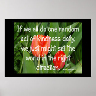 Poster Bondade Aleatória
