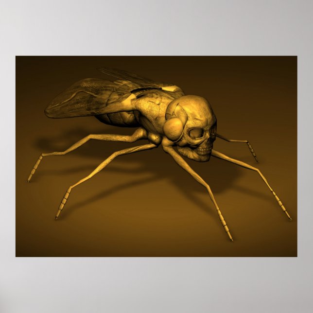 Póster Bonehead Fly (Frente)