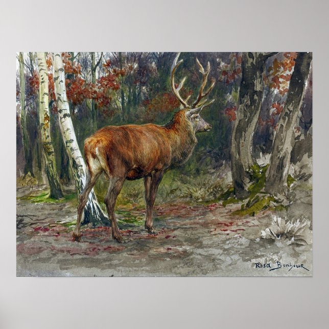 Poster Bonheur - Cervo de Vigia (Frente)