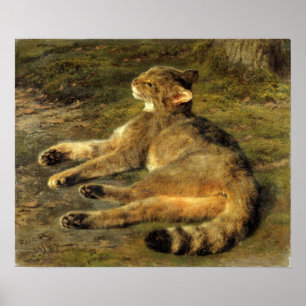 Poster Bonheur - Gato Selvagem