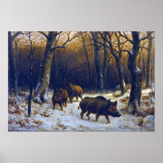 Poster Bonheur - Javalis Selvagens Na Neve (Frente)