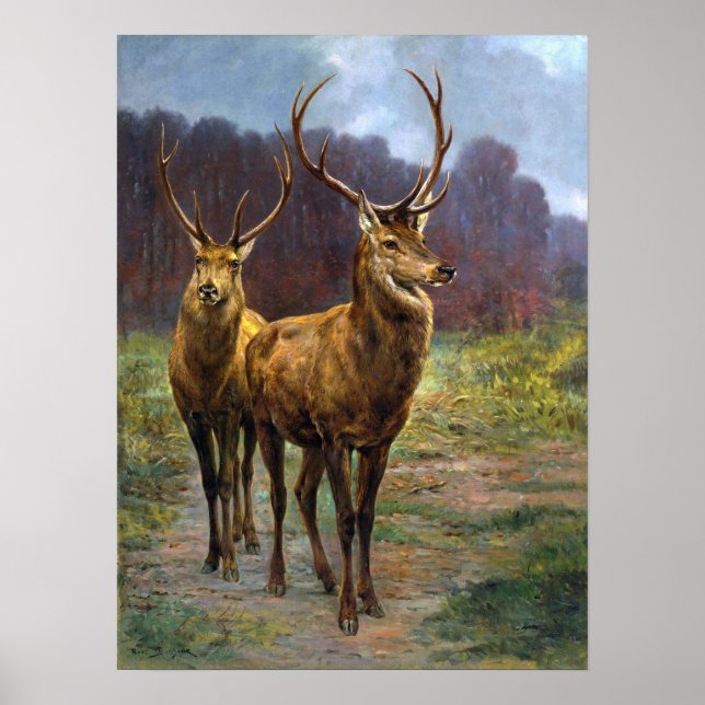 Poster Bonheur - Monarcas Da Floresta (Frente)