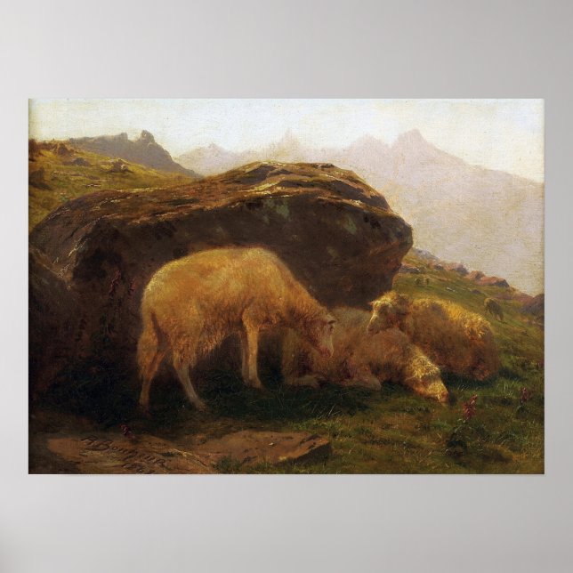 Poster Bonheur - Ovelha Em Um Morro (Frente)