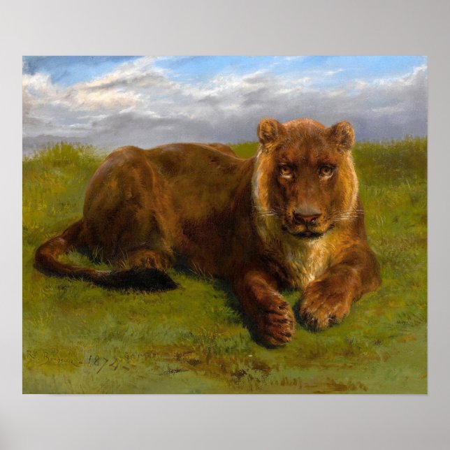 Poster Bonheur - Posicionamento de Lioness (Frente)