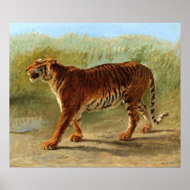 Poster Bonheur - Tigre Real Da Marcha (Frente)