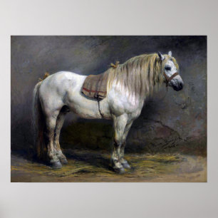 Poster Bonheur - Um Cavalo Branco