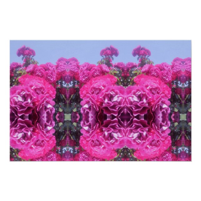 Póster Bonita Rosa (Frente)