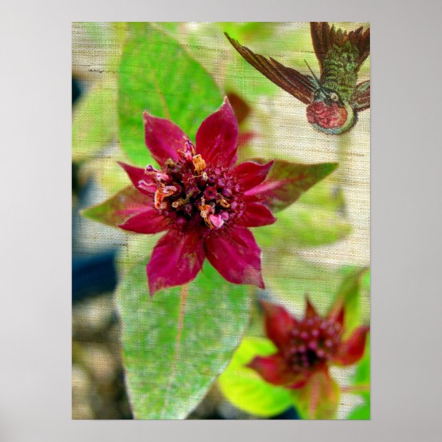 PÓSTER BONITO 2 (Frente)