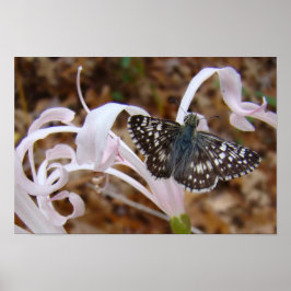 Póster Bonito a rosa