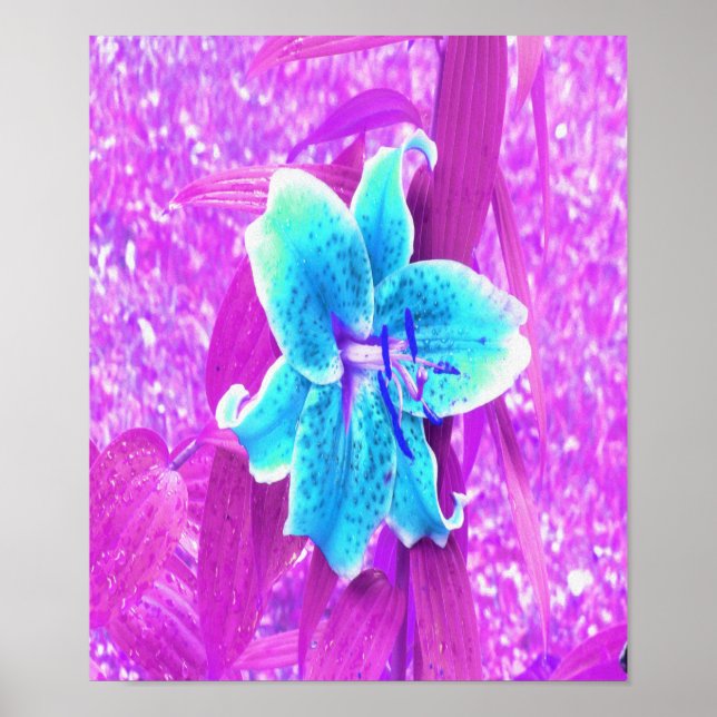 Poster Bonito Aqua Blue Stargazer Lily em Roxo (Frente)
