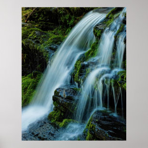 Poster bonito da cachoeira da cascata