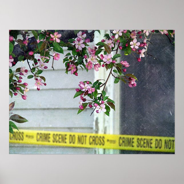 Poster Bonito Feia (Frente)