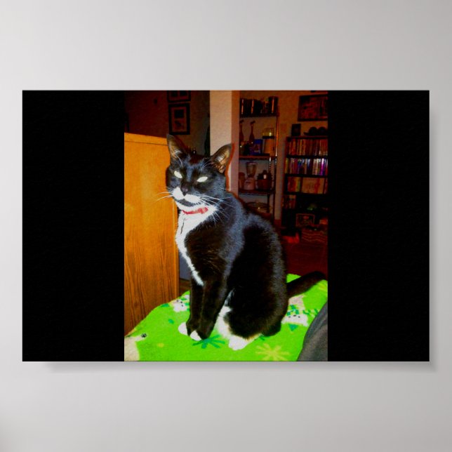 Póster Bonito garota Lucy (Frente)