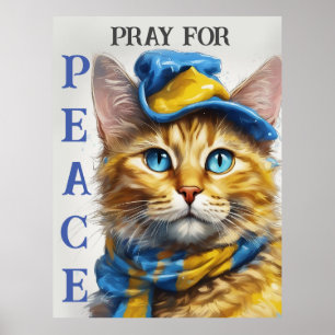Poster Bonito Gato Amarelo com Olhos Azuis - ucrânia