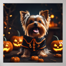 Bonito Halloween Yorkshire Terrier Puppy Dog Pumpk