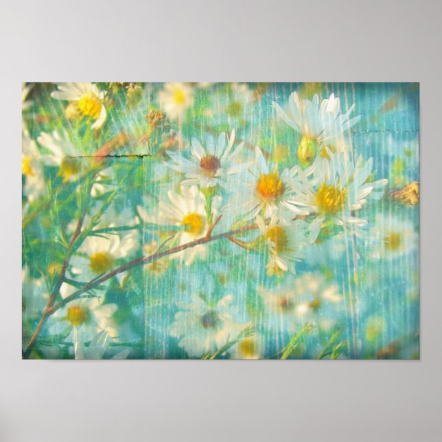 Póster Bonito margaridas (Frente)