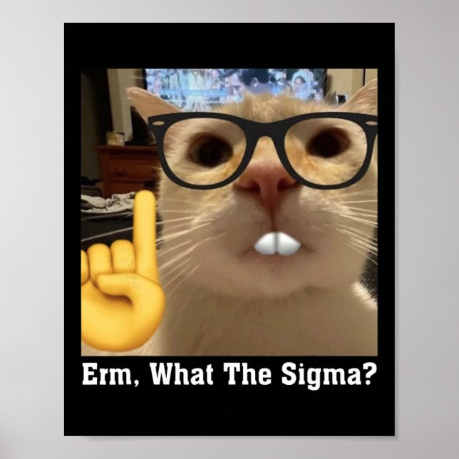 Poster Bonito Meme Gato Clie Art Cute Kitten Erm (Frente)