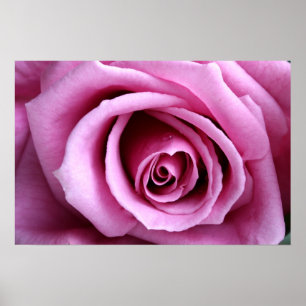 Póster Bonito no lilac