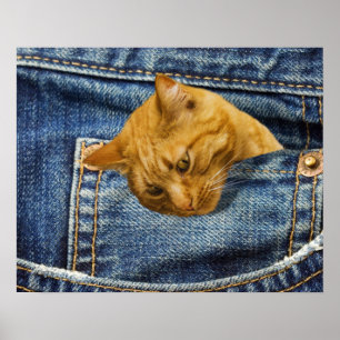 Poster Bonito presente para guardiões de gatos