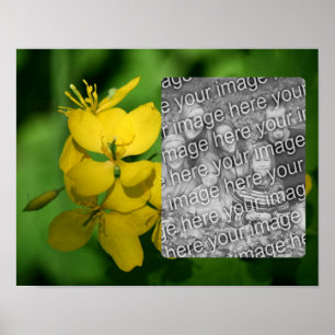 Poster Bonito Quadro Amarelo de Flores Selvagens Adiciona