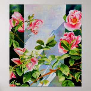 Póster Bonito rosa, rosas vermelhas, flor aquarela