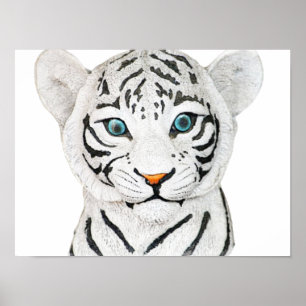 Poster Bonito Tigre Branco Com Olhos Azuis