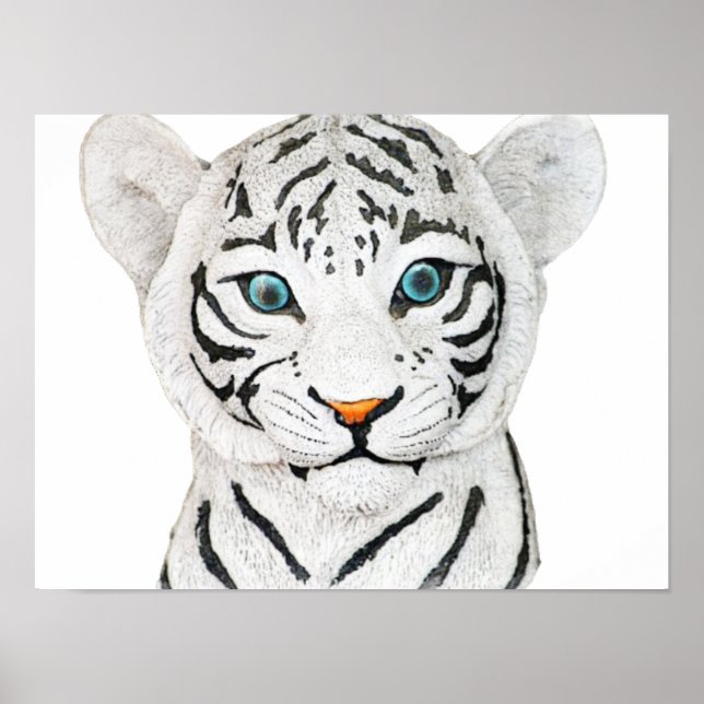 Poster Bonito Tigre Branco Com Olhos Azuis (Frente)